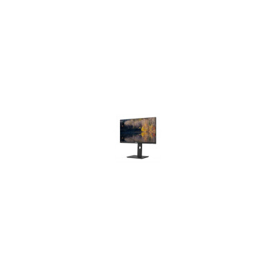 Dahua DHI-LM24-P301A 23.8 QHD