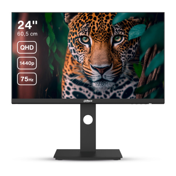 Dahua DHI-LM24-P301A 23.8 QHD