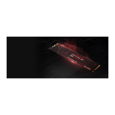 SanDisk Optimus GX Pro 8100X 1TB M.2 2280